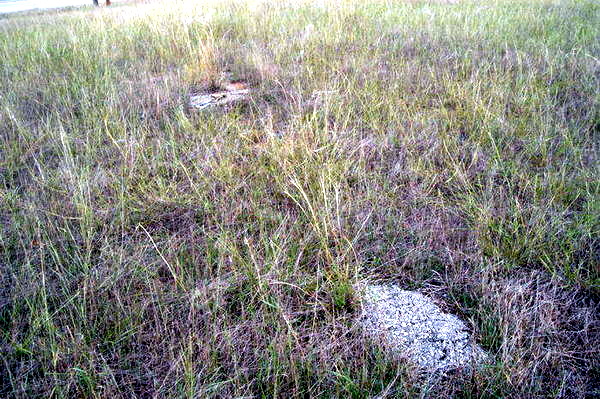 Ken-Mar Drive-In Theatre - Sept 2003 (newer photo)